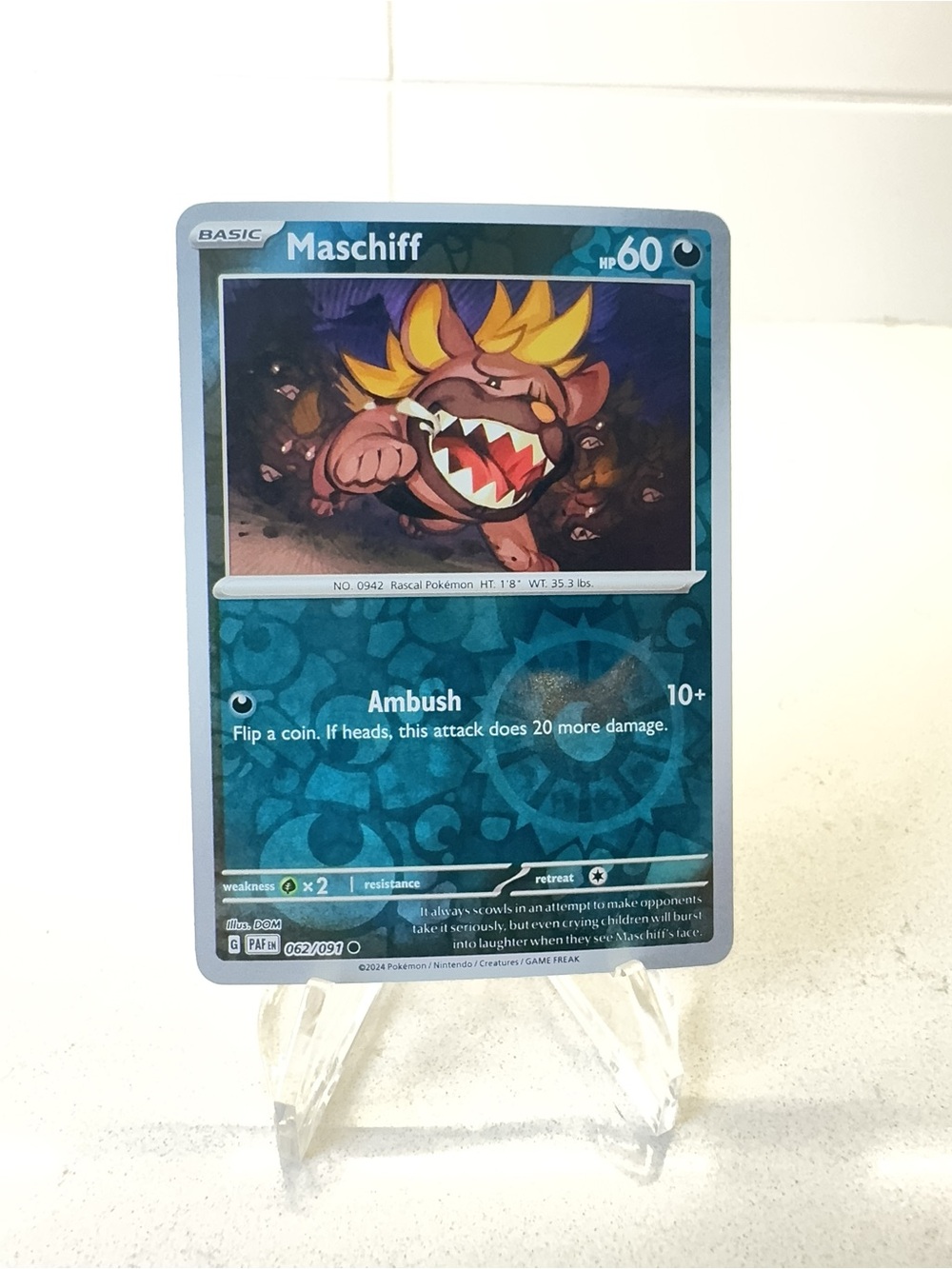Pokemon TCG Card -  Maschiff [Reverse Holo] #62 Pokemon Paldean Fates